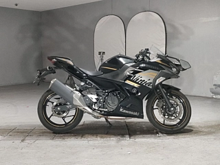 Kawasaki NINJA400 2019