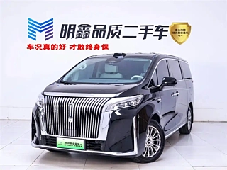 Заказать WEY GAOSHAN