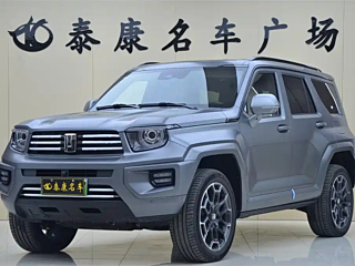 Заказать TANK 700 NEW ENERGY