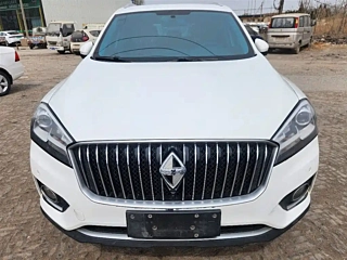 Заказать BORGWARD BX7