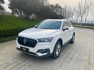 Заказать BORGWARD BX5