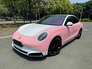 Заказать ORA LIGHTNING CAT