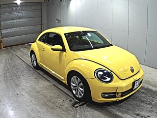 VOLKSWAGEN THE BEETLE