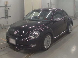 VOLKSWAGEN THE BEETLE