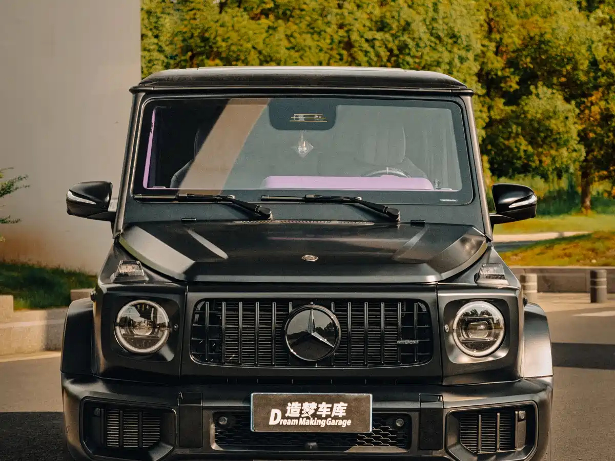 MERCEDES-BENZ G-CLASS 2010