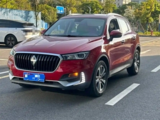 Заказать BORGWARD BX5