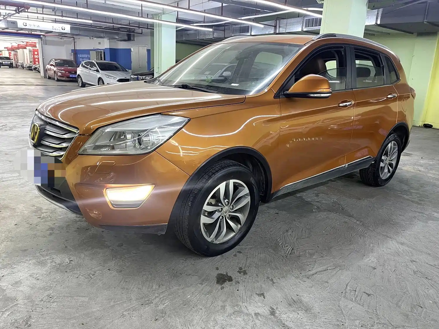 WEIWANG S50 2018