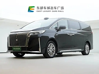 Заказать WEY GAOSHAN