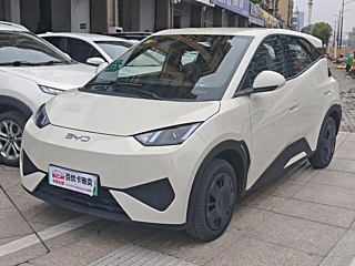 Заказать BYD SEAGULL