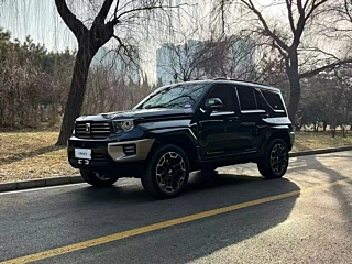 Заказать TANK 700 NEW ENERGY