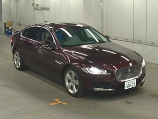 JAGUAR XF SERIES