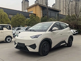 Заказать BYD SEAGULL