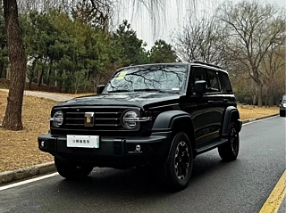 Заказать TANK 300 NEW ENERGY