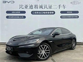 Заказать DENZA Z9