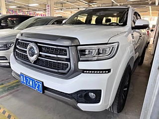 Заказать GREAT WALL POER