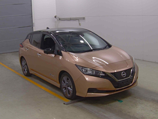 NISSAN LEAF