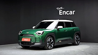 Заказать MINI ACEMAN