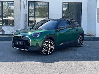 Заказать MINI ACEMAN