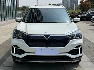 Заказать VENUCIA T60EV