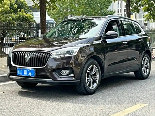 Заказать BORGWARD BX7