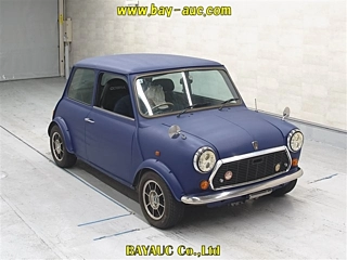 Заказать ROVER MINI