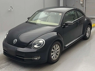VOLKSWAGEN THE BEETLE