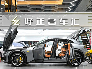 Заказать FERRARI PUROSANGUE